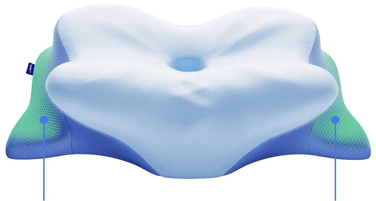 Arm Support Area