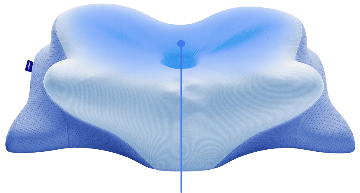 Back Support Wings